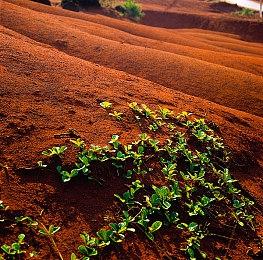 驾驶解谜游戏《狂野泊车》发售 首发特惠56元