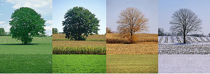 Epic喜加一：《龙腾世纪：审判》免费 下周神秘游戏