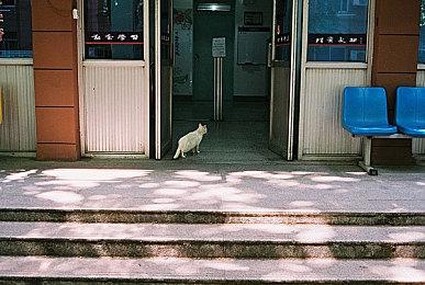 《降世神通：最后的气宗》格斗游戏将于明年发售